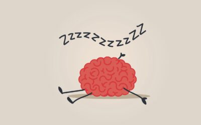 Il cervello a riposo ottimizza le proprie prestazioni future e nel sonno si rigenera