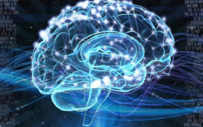 Settimana del cervello EBRI presenta supercomputer per simulare funzionamento cervello e possibili terapie