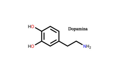 Dopamina per l’Alzheimer nuove conferme di vecchie scoperte
